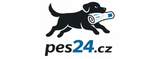 logo-pes (500 x 190 px)